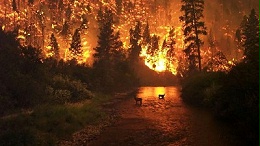 森林火灾监控防护预警系统怎么建