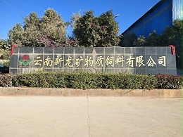云南新龙矿物质饲料有限公司安防监控系统建设